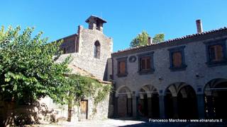 stello di Nelson-15-09-2014 07-48-32